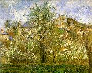 Camille Pissaro Kitchen Garden with Trees in Flower, Pontoise Sweden oil painting reproduction
